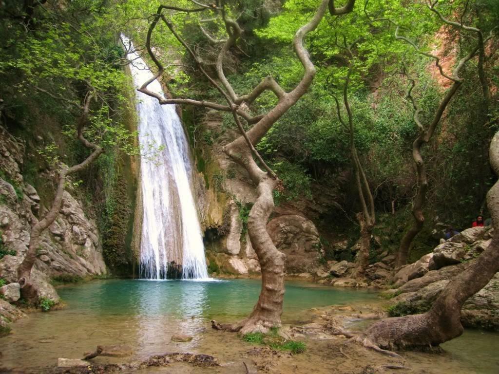 Nikos Loft Olympia Daire Kato Figalia Dış mekan fotoğraf